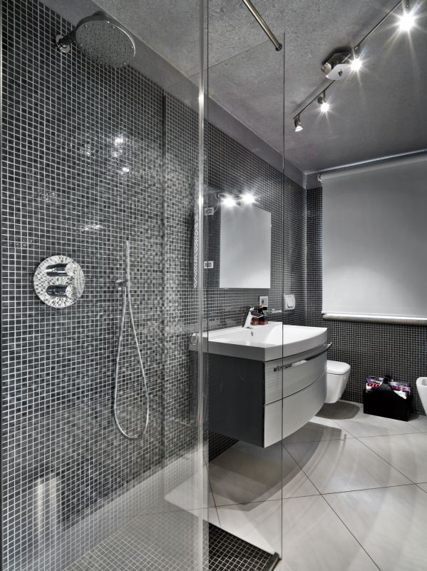 Minimalist Shower Space
